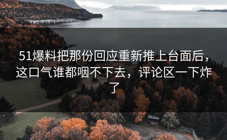 51爆料把那份回应重新推上台面后,这口气谁都咽不下去,评论区一下炸了 51爆料把那份回应重新推上台面后,这口气谁都咽不下去,评论区一下炸了