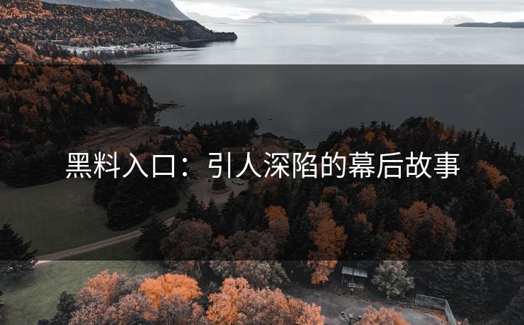 黑料入口：引人深陷的幕后故事