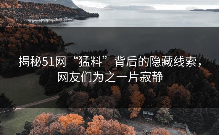 揭秘51网“猛料”背后的隐藏线索，网友们为之一片寂静