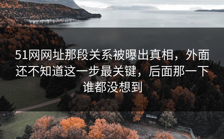 51网网址那段关系被曝出真相，外面还不知道这一步最关键，后面那一下谁都没想到